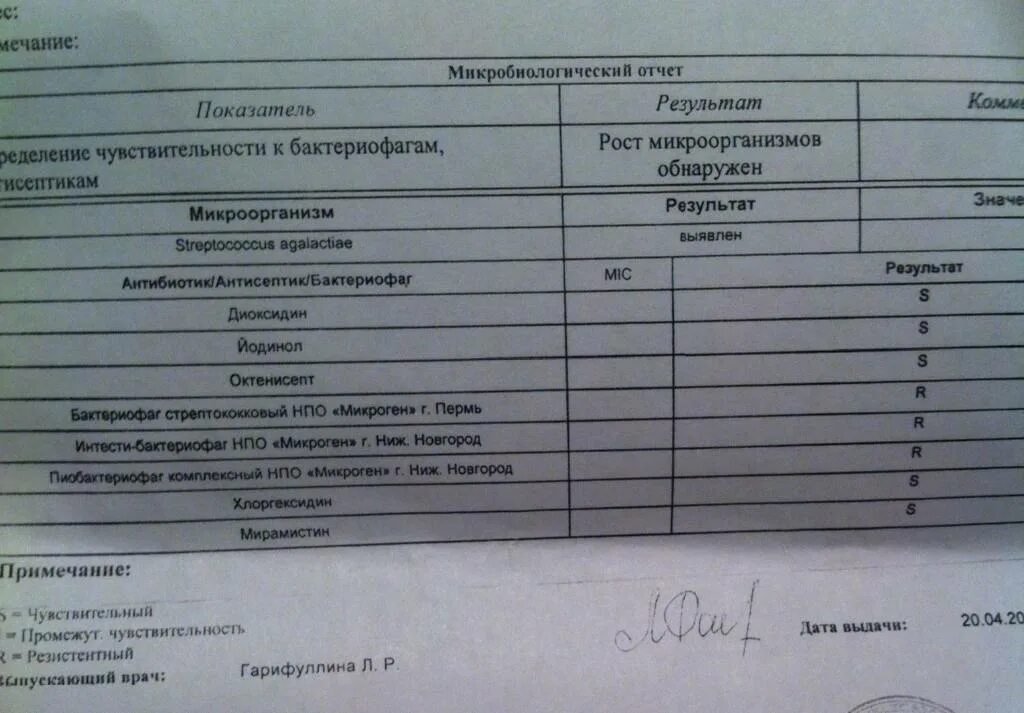 Стрептококк в мазке при беременности 3 триместр. Стрептококк 10 в 5 в бак посеве. стрептококки в мазке у женщин норма. мазок на флору стрептококки. в посеве на микрофлору выявлен стрептококк.