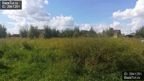 Погода в нижнем хорошово