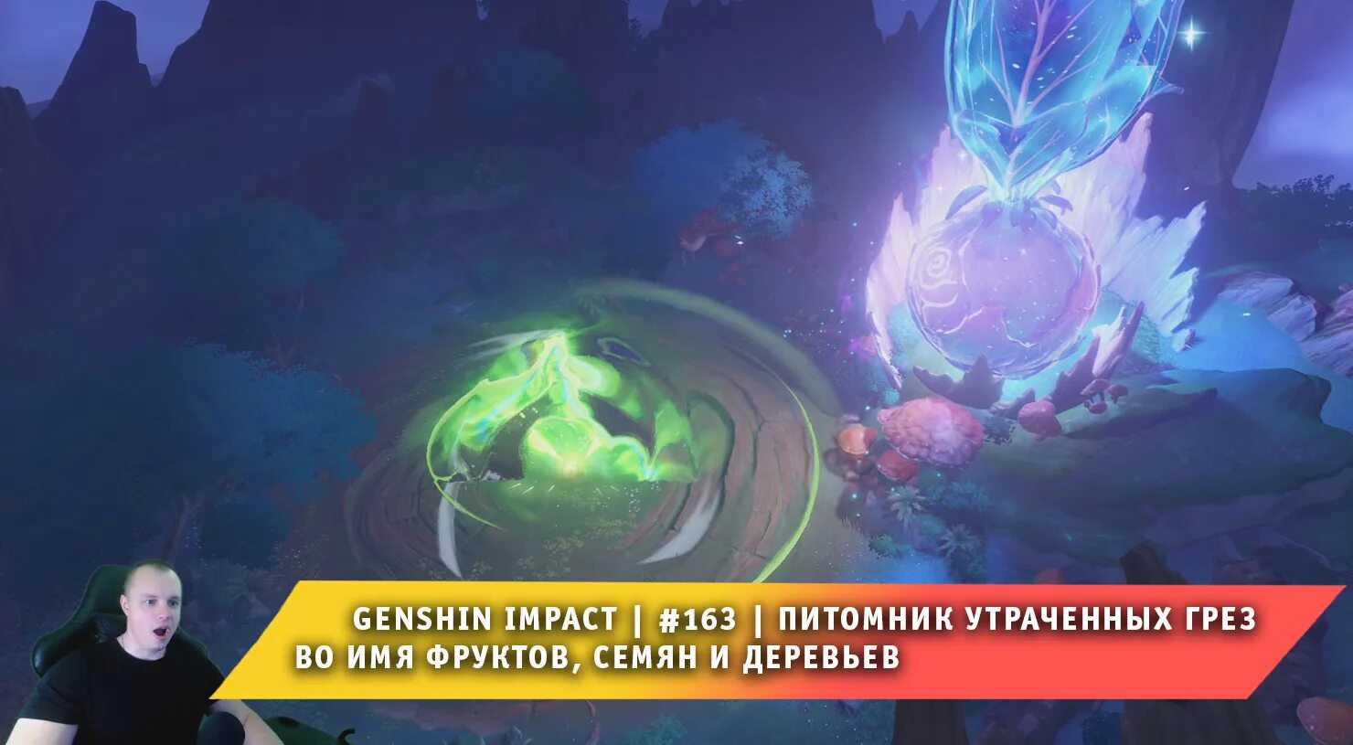 Необычные сорта фруктов и овощей. Dreamy игра геншин. Зона увядания genshin impact. Направляйтесь в храм ашваттхи. Дерево сумеру геншин.