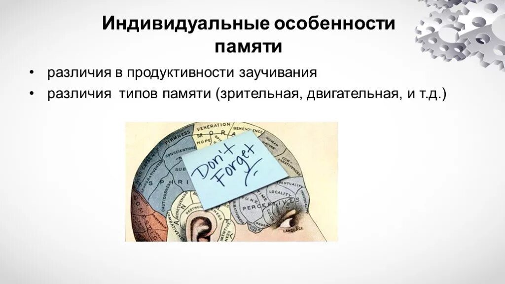 Чем отличается память человека от памяти животного. Качественные характеристики индивидуальной памяти. Индивидуальные особенности памяти схема. Индивидуальные различия памяти. Особенности памяти человека.