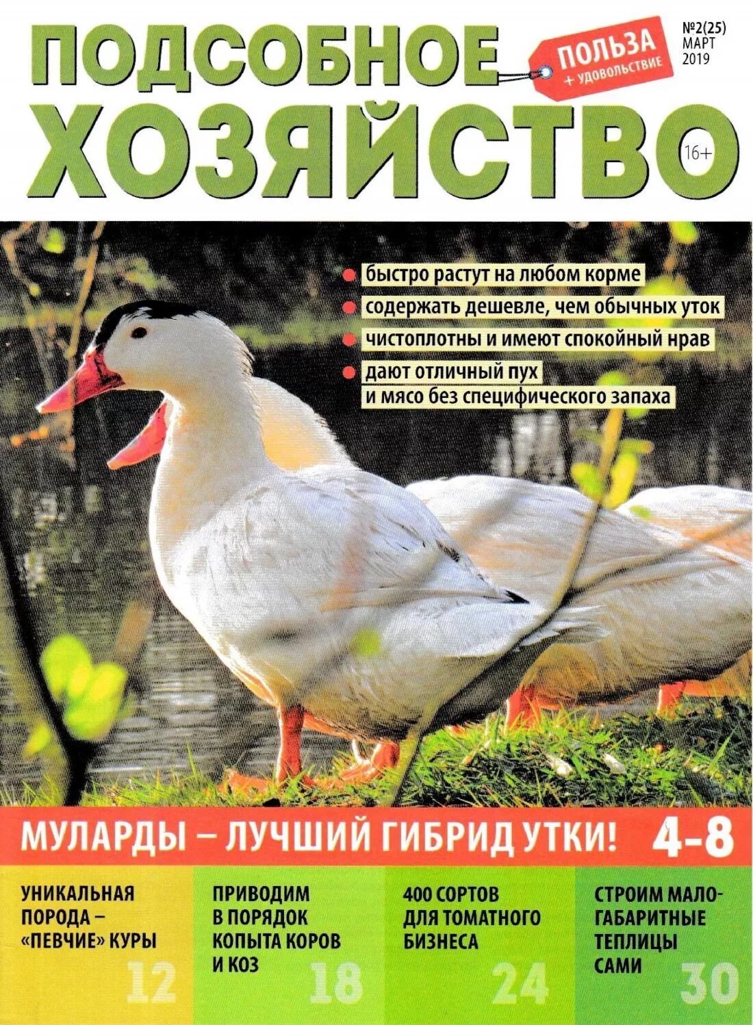 Подсобное хозяйство книга. Советские журналы приусадебное хозяйство. Приусадебное хозяйство. Обложки журнала приусадебное хозяйство. Журналы по ветеринарии.