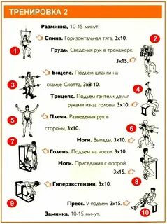 Тренажерный зал для начинающих девушки