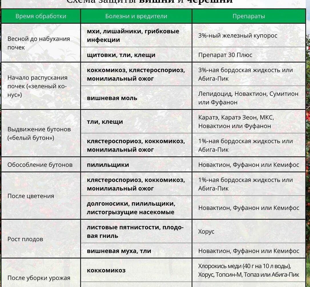 Препараты от вредителей плодовых деревьев и кустарников. Таблица опрыскивания садов препаратами. Схема обработки плодовых деревьев весной. Весенняя обработка плодовых деревьев. Обработка смородины и крыжовника от вредителей
