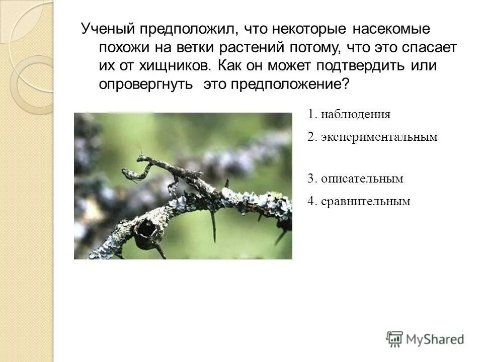 Подтвердить или опровергнуть эти предположения довольно трудно. Гипотеза это в философии. Геноцид гипотеза реферата. Подтвердить или опровергнуть эти предположения довольно. Подтвердить или опровергнуть эти предположения довольно.