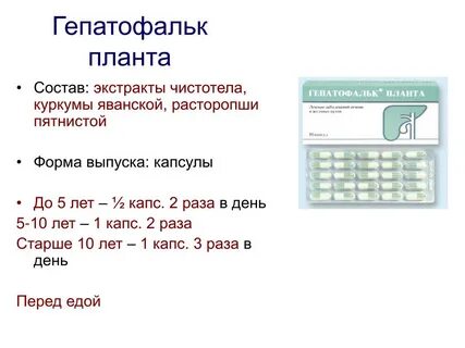 Гепатофальк планта
