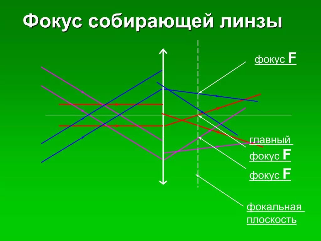 Что такое фокус собирающей линзы. Главный фокус собирающей линзы. Главный фокус линзы. Фокальная плоскость собирающей линзы. Главные фокусы линзы.