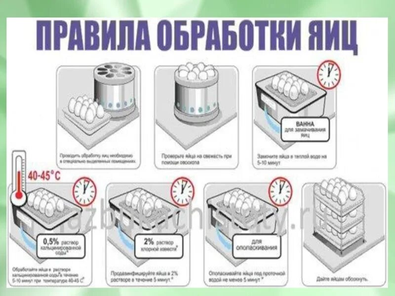 Правила мытья столов. Правила обработки яиц. Маркировка емкостей для обработки яиц. Помещение для обработки яиц. Схема обработки яиц в общепите.