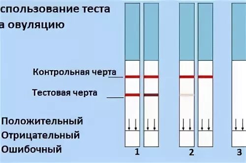 Циклы выделений у девушек. Подтекание околоплодных вод. изменение выделений в течении цикла. выделения в течение цикла у женщин. выделения в фертильные дни.