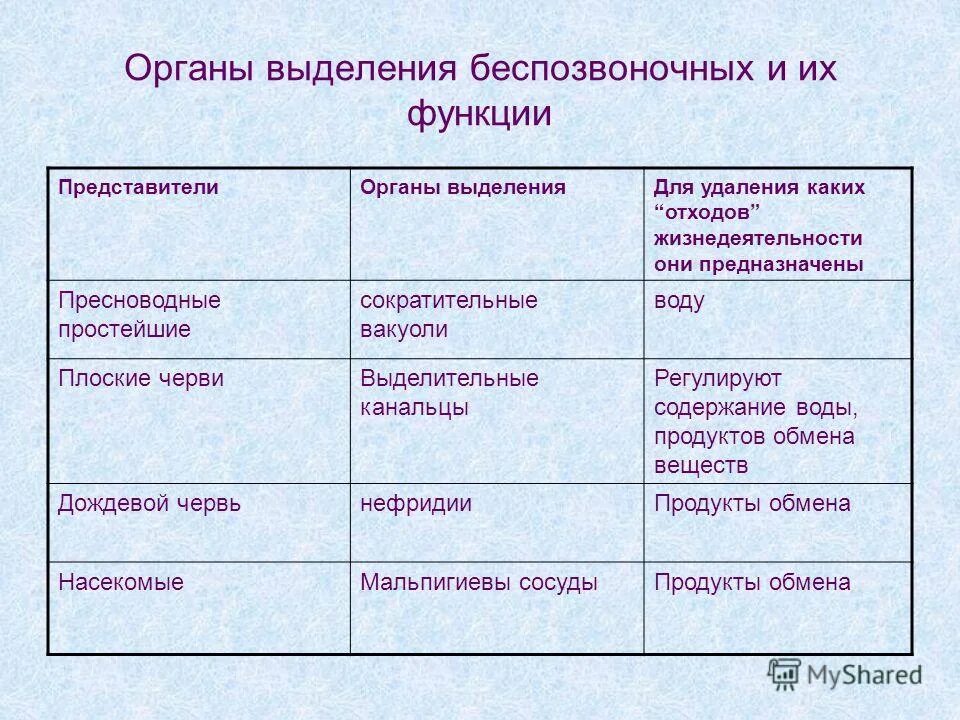 Сравнение беспозвоночных