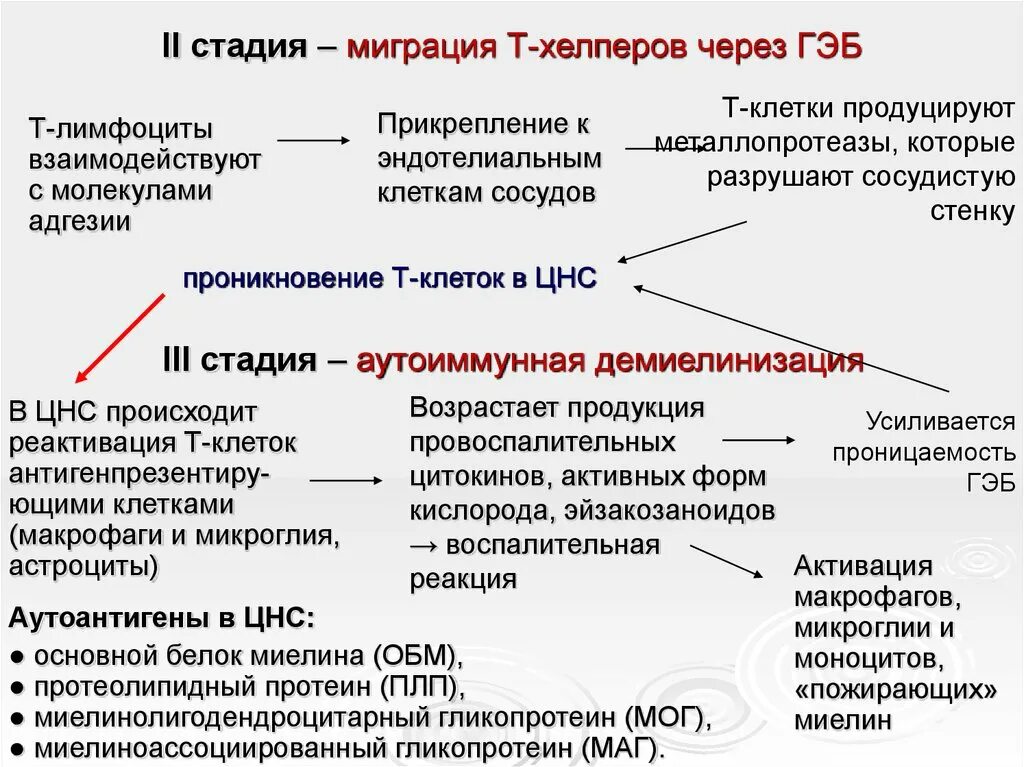 Рассеянный склероз гормонотерапия. Рассеянный склероз механизм развития. Рассеянный склероз этиология патогенез клиника. Рассеянный склероз клиника патогенез. Рассеянный склероз патоген.