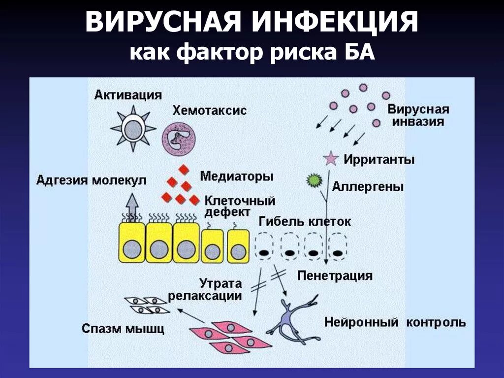 Вирусные инфекции. Вирусные инфекционные заболевания. Вирусы и вирусные заболевания. Вирусные заболевания 11 класс. Описать вирусные заболевания