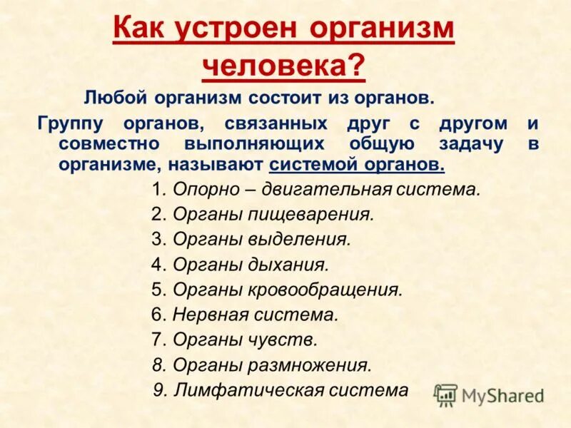 Как работает наш организм презентация 3 класс. Как устроен организм. Презентация как устроен организм человека. Реферат на тему как устроен организм человека 4 класс. Сообщение как устроен организм.