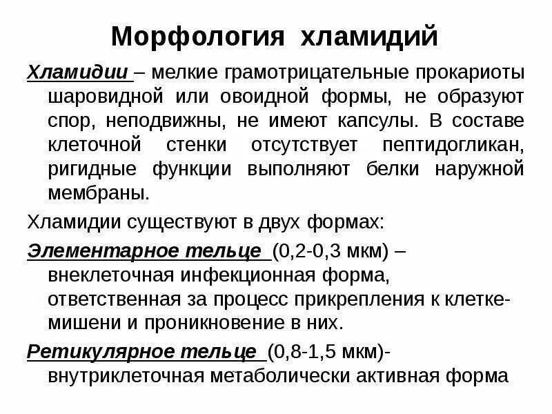 Хламидии что это у мужчин. Хламидии грамотрицательные. Формы хламидий. Хламидии строение морфология. Инфекционная форма хламидии.