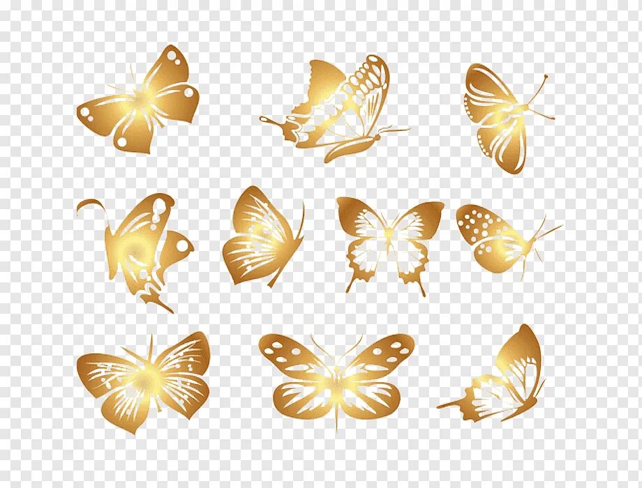 Золотая бабочка. Золотые бабочки на прозрачном фоне. Золотистые бабочки на прозрачном фоне. Золотые бабочки для фотошопа.