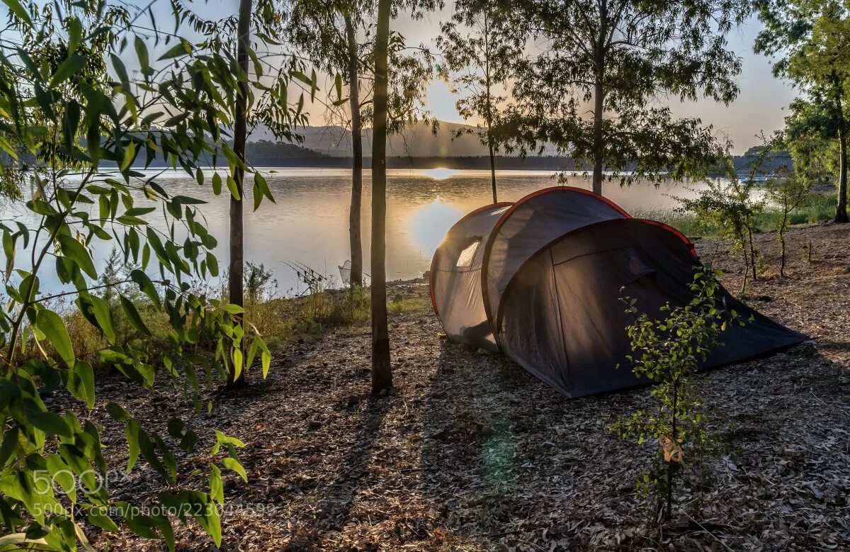 Camping php. Кемпинг серебряное озеро на Селигере. Селигер кемпинг палаточный городок. Кемпинг «ААК-теленгит». Увильды кемпинг с палатками.