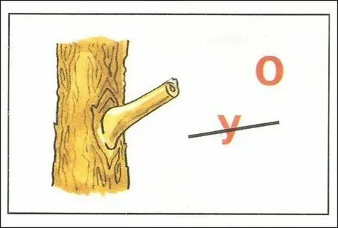 Записать сук