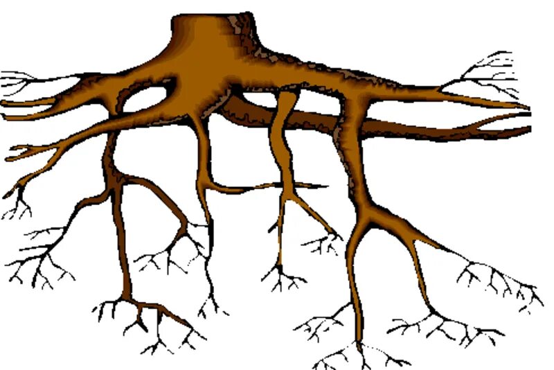 Корни картинка для детей. Дерево с корнями для детей. Корешок дерева. Корень для детей. Корень растения для детей.