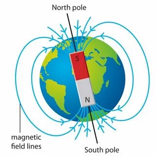 S magnet