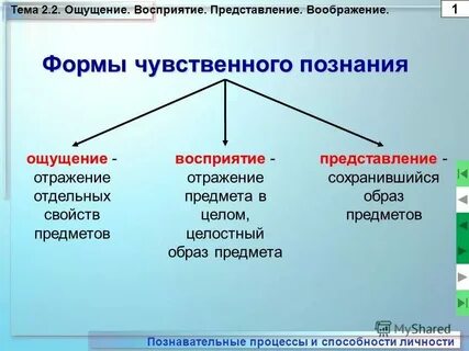 Правильное отражение свойств