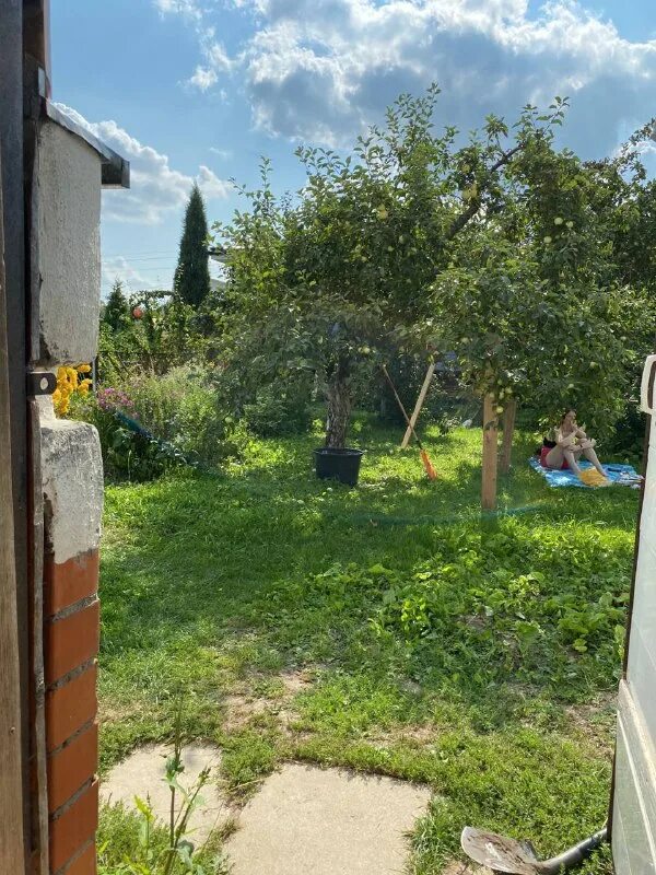 Дача кайф. Bird born лето. Собака на даче. Дача кайф. Дача кайф.