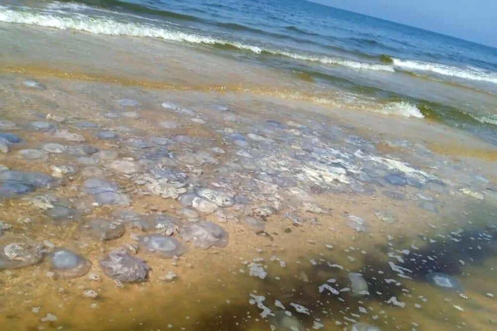 Как выглядит азовское море сейчас 2025 5 курортов Азовского моря, на которые можно рвануть в бархатный сезон 18 июля