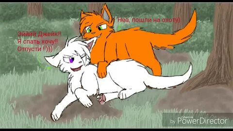 Коты воители 18