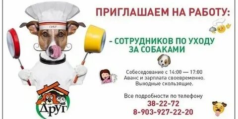 Работа с животными вакансии