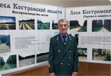 Костромской лесной департамент