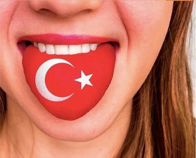 33 языка. Турция язык. Турки язык. Изучение турецкого языка.