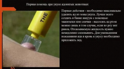Просроченный яд более ядовит или наоборот