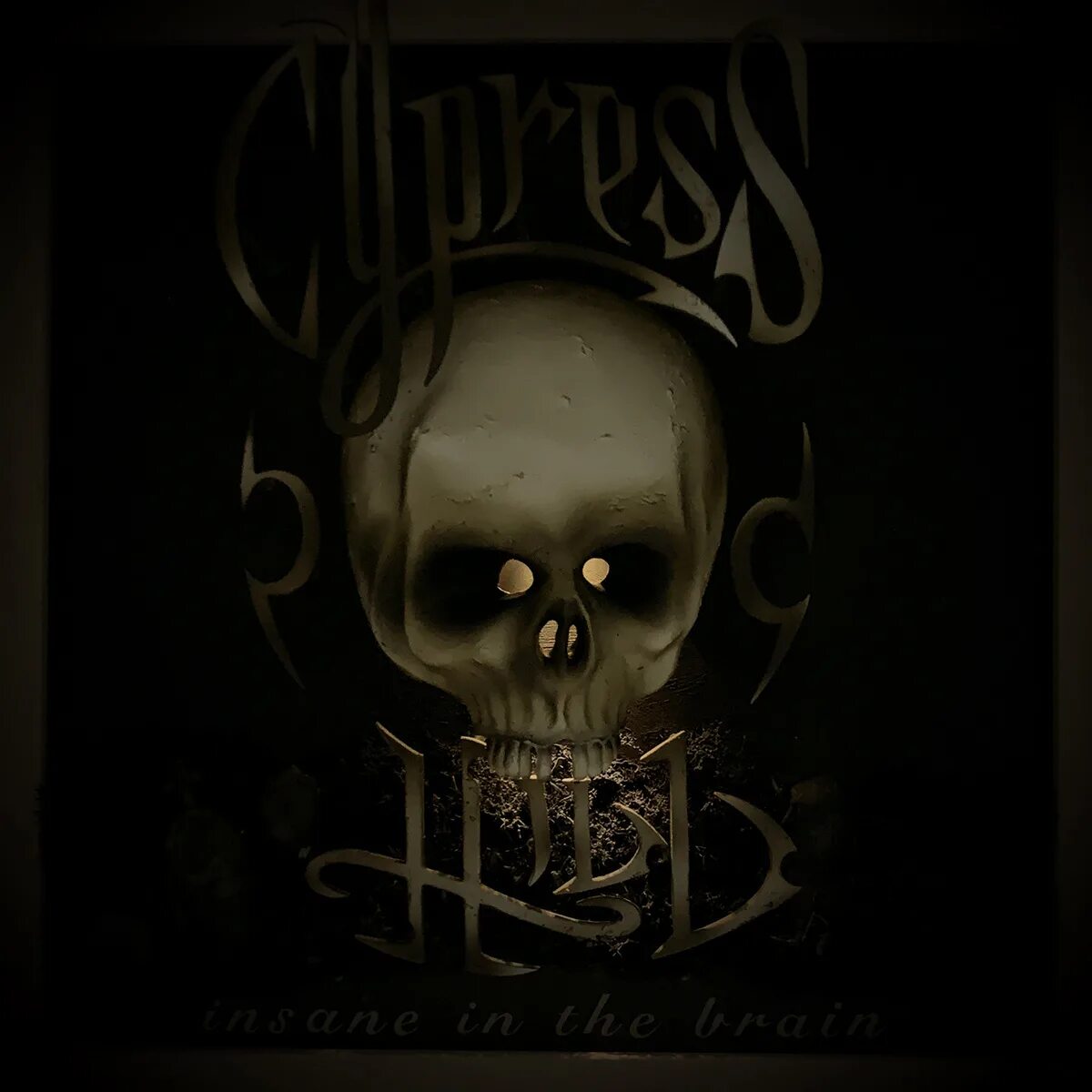 Сайпресс Хилл Брейн. Cypress Hill in the Brain. Insane the Brain Cypress Hill. Cypress hill insane in the brain