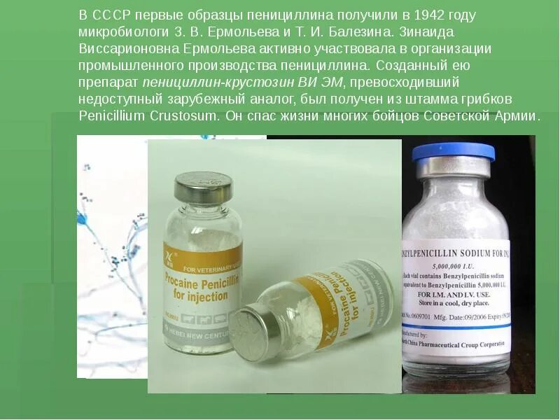 Пенициллин от чего. Пенициллин крустозин. производство пенициллина.