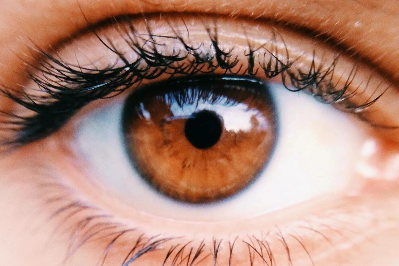 Карие глаза. Карий цвет глаз. Глаз человека. Красивые карие глаза.