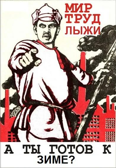 товарищи спортсмены