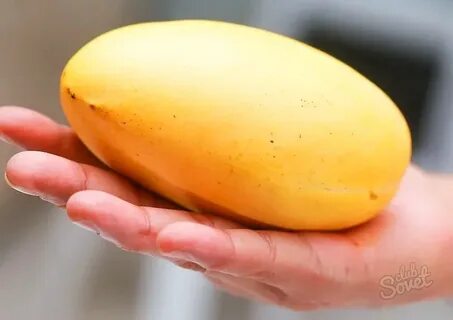 Какое манго вкуснее желтое или зеленое
