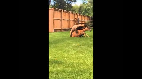 Покажи видео с ней
