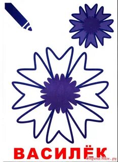 Фото: фотография в альбоме Маленький художник. Цветы. - Страна Мам