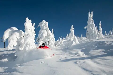 Snow forecast