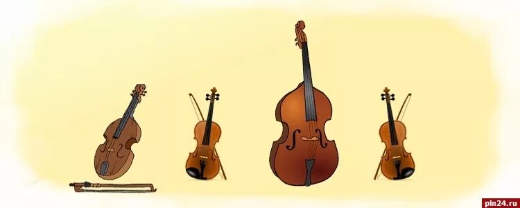 Контрабас для детей. Терем квартет. Бас виолончель. Гитарный квартет имени фраучи. Квартет бас.