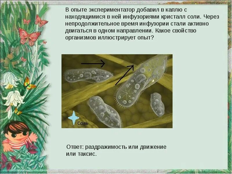 В опыте экспериментатор положил несколько кристаллов