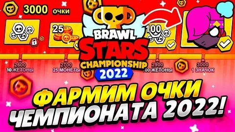 Голосовать чемпионат браво