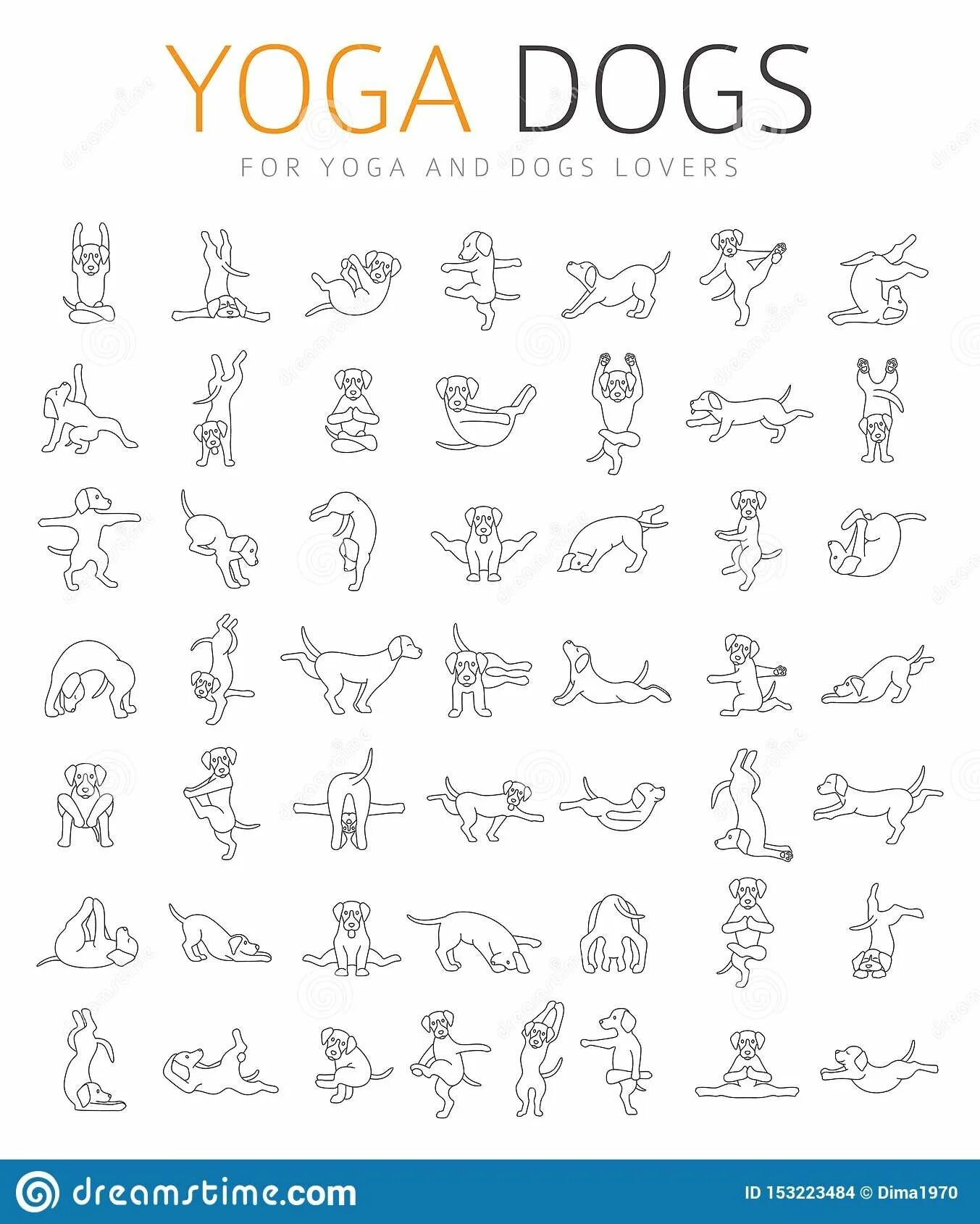 Dog positions