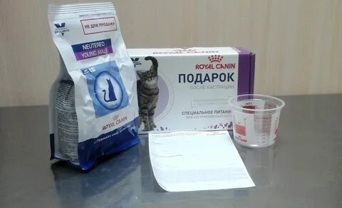 Чем отличается корм стерилизованных кошек от обычного