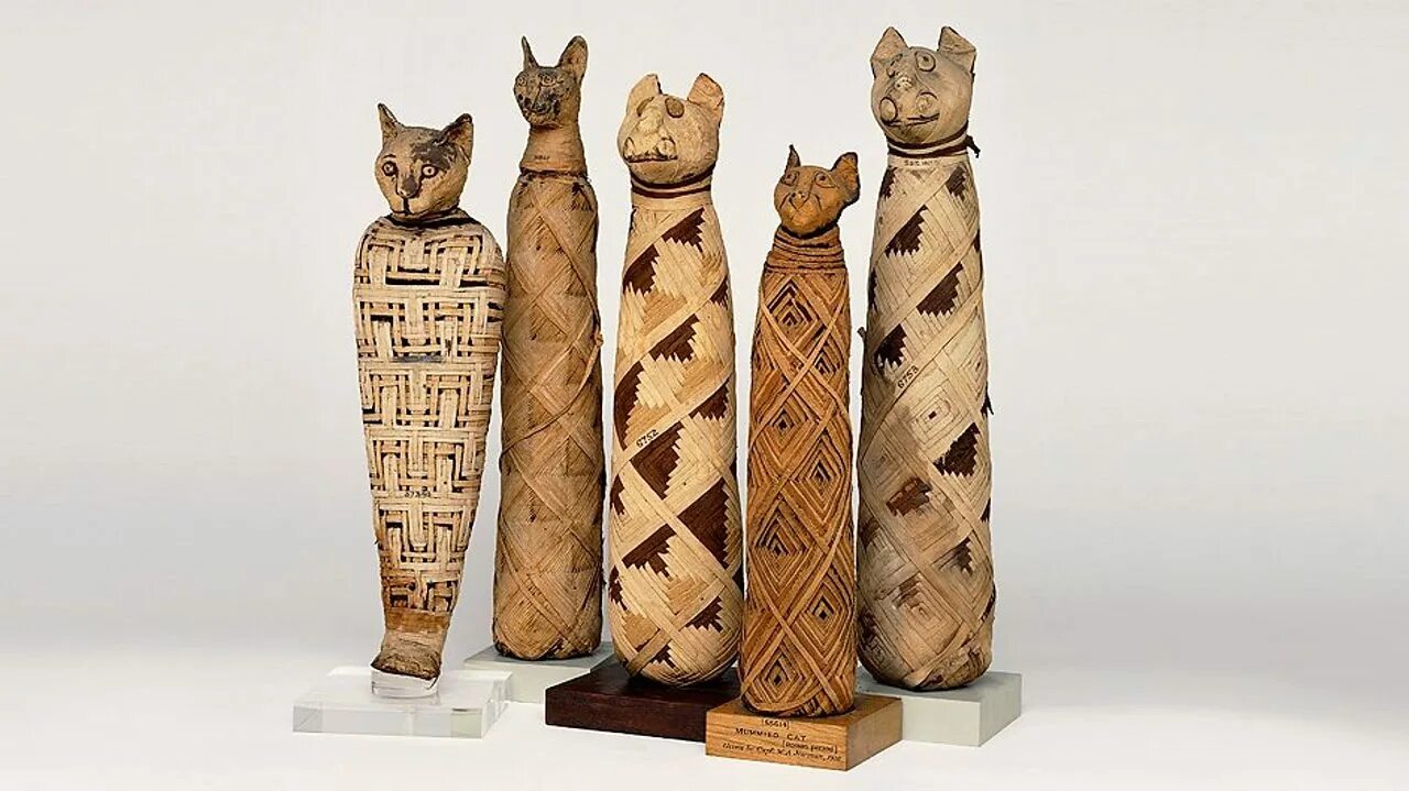 В египте поклонялись кошкам. Почитание кошек в древнем Египте. Мумифицированные кошки Египта. Кошки в Египте. Египетский культ кошки.