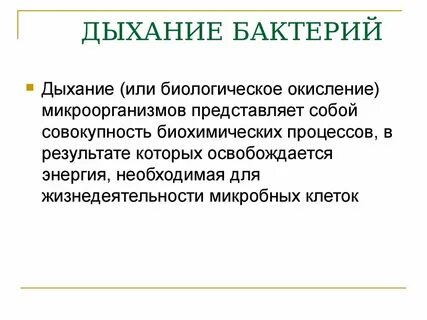 Сущность бактерия