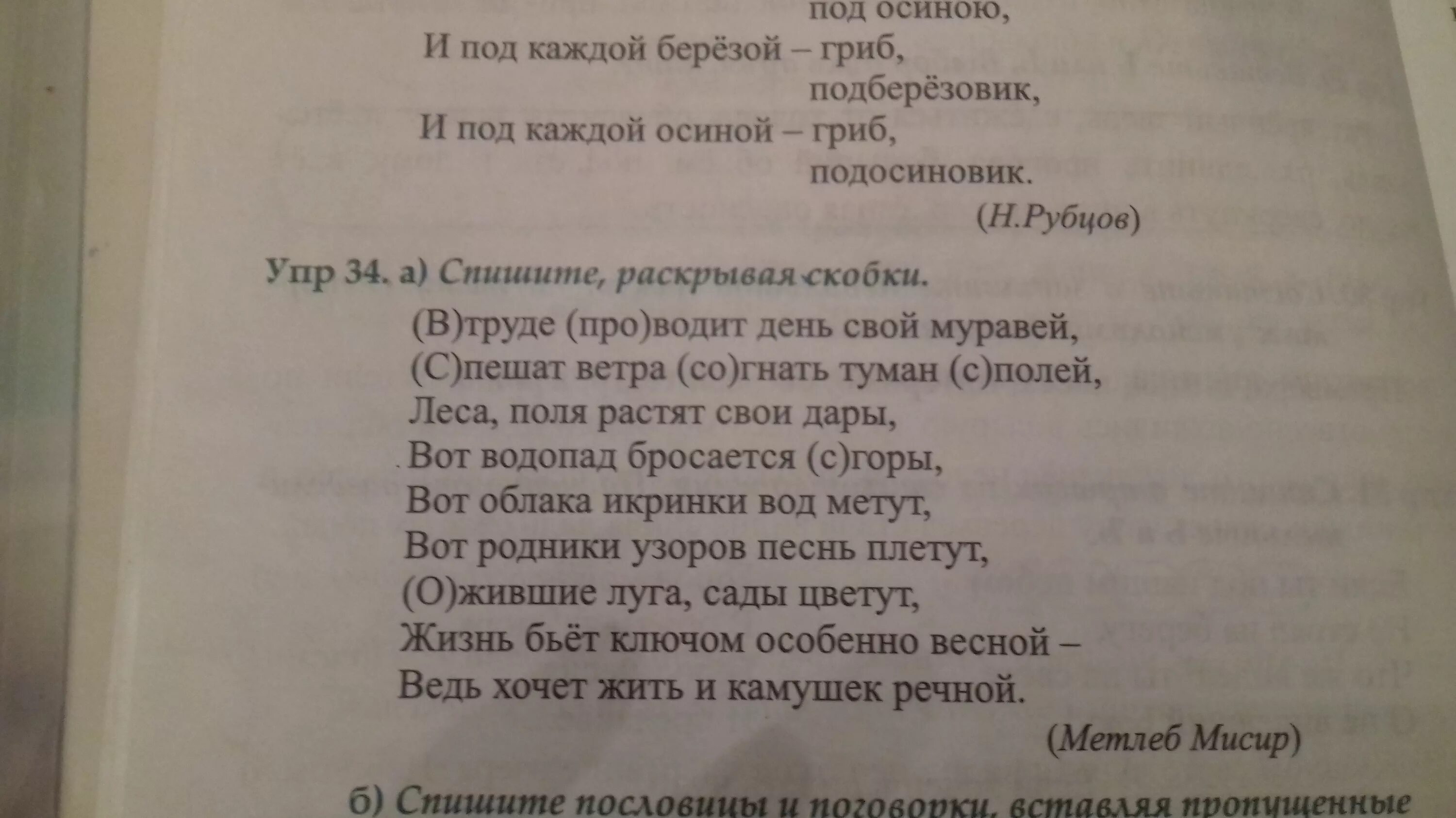 Стих по камушкам по камушкам. Стих про школу по камушкам по камушкам. Стихотворение пока пока по камушкам мы школу разберем. Стих про школу по камушкам по камушкам мы школу разберем текст.