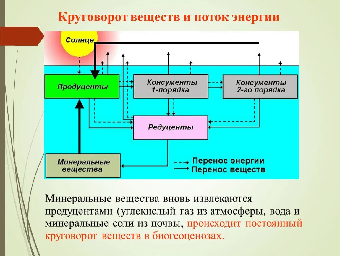 Как осуществляется круговорот веществ. Круговорот веществ и энергии. Круговорот веществ и поток энергии в экосистеме. Круговорот энергии схема. Круговорот веществ и поток энергии в природе.