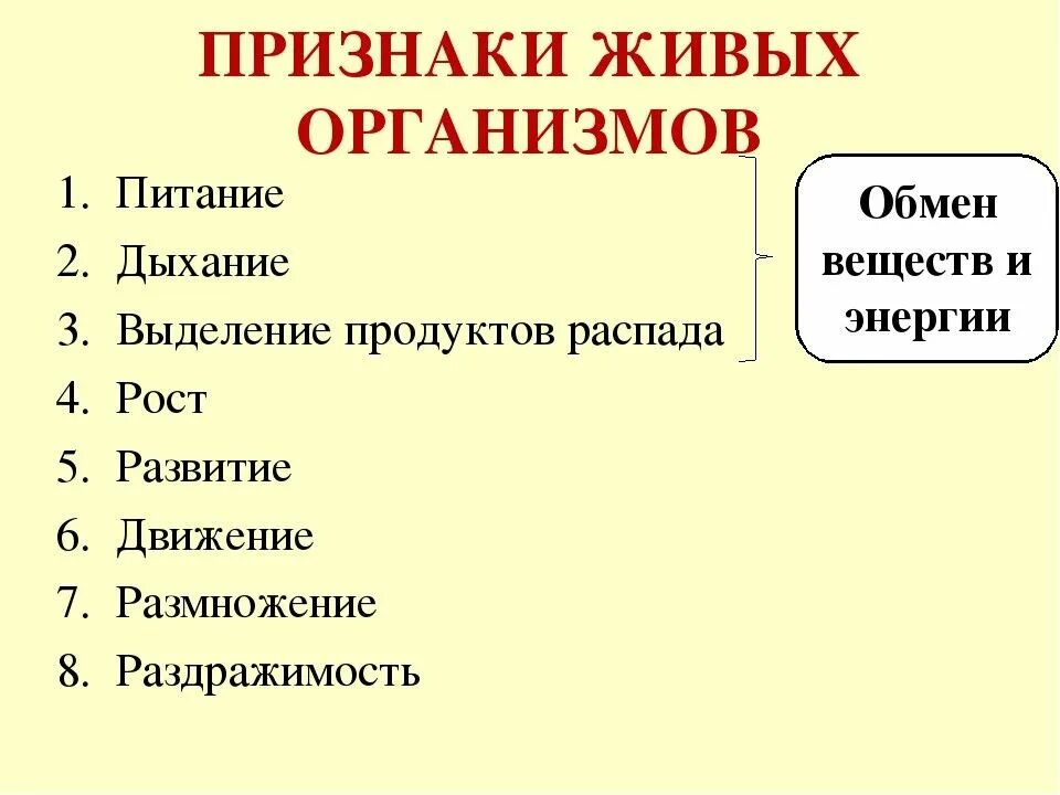 Признаки организмов 5 класс