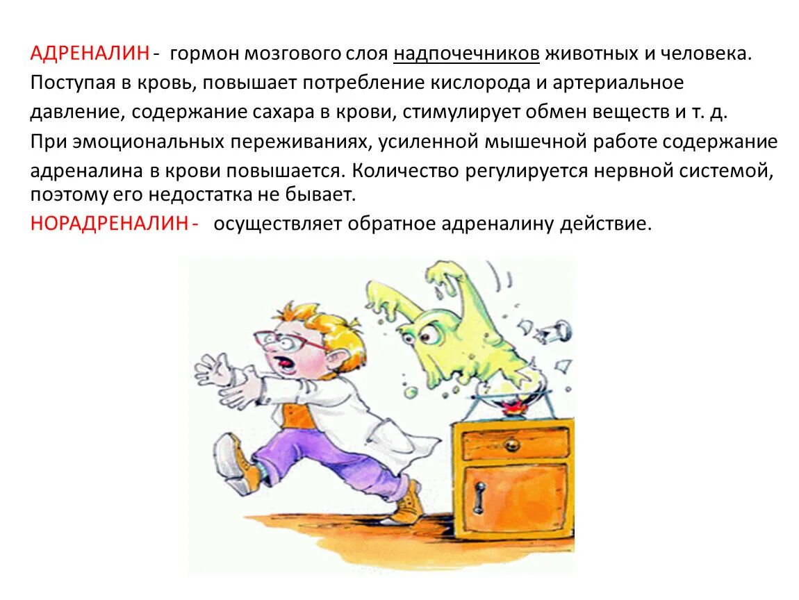 Что выделяет адреналин. Адреналин гормон. адреналин гормон чего. повышение адреналина. адреналин гормон мозгового слоя надпочечников.