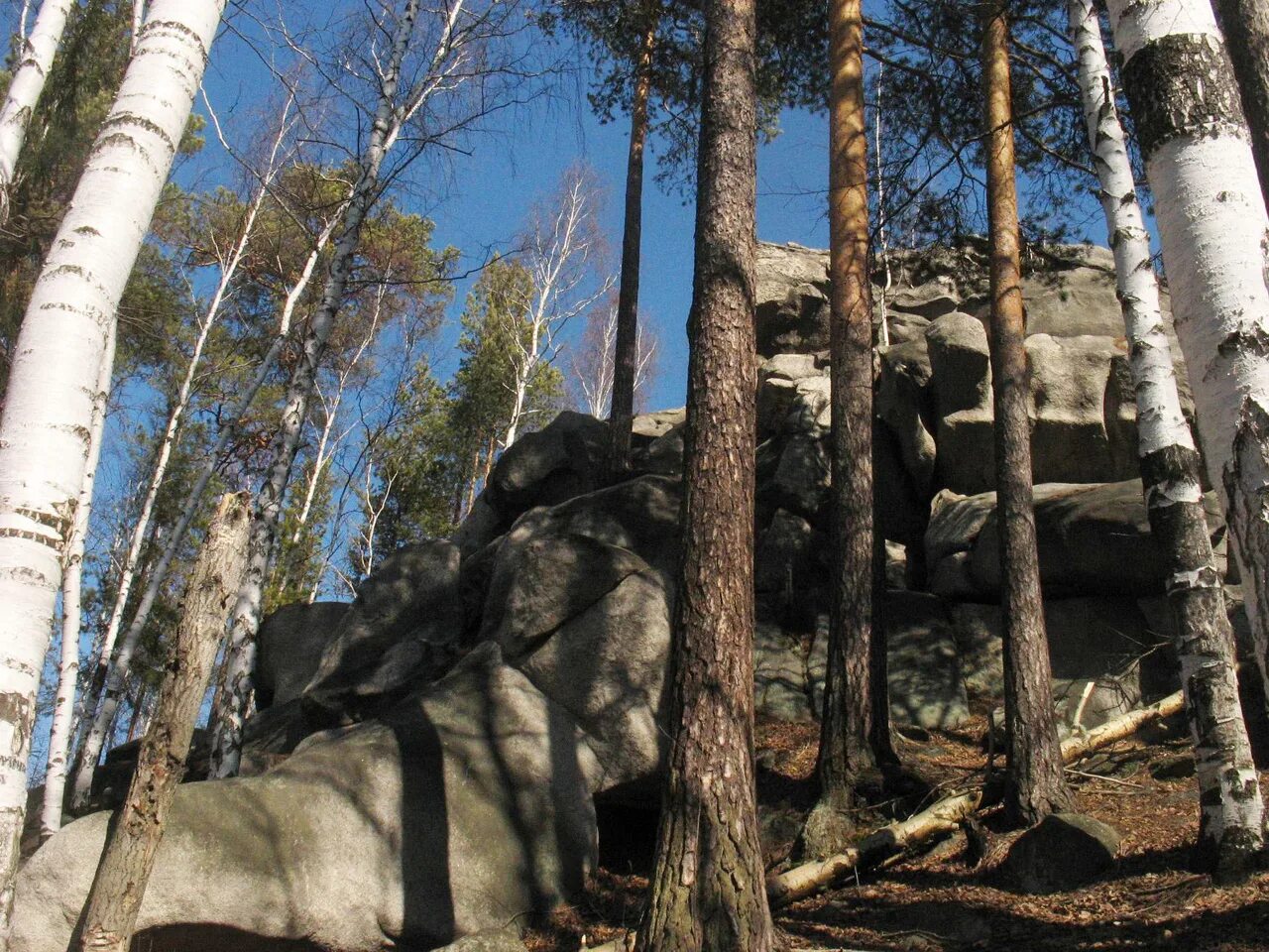 Соколиные горы д горы 18 фото